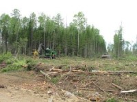 John Deere признан крупнейшим поставщиком лесозаготовительной техники