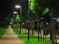 Парковые светильники: свет в городских оазисах