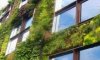 Рюрик Менеджмент: Перспективы зеленого строительства в настоящий момент крайне невелики
