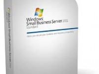 Профессиональная лицензия Windows Server