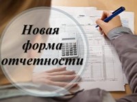 Эффективное сотрудничество: подача отчета в Росстат