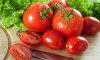 Особенности употребления томатов и их польза