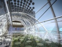 Необычный навесной мост от компании Sanzpont