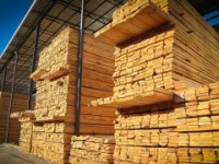 Выбор и проверка пиломатериалов: можно ли брать древесину с дефектами по скидке