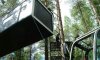 Гостиницу Tree Hotel построят на верхушке дерева