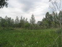 Земли в Березовском приобрели «мертвые души»