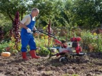 Какая садовая техника нужна в уходе за садом?
