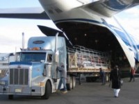 Доставка сборных грузов из Китая авиатранспортом