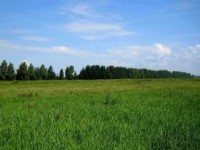 Фонд РЖС продает участки в Московской области