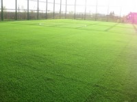 Искусственная трава для футбола: новые возможности для спорта