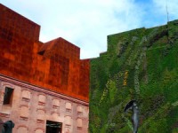 Огромная «зеленая» стена, построенная в Новой Зеландии