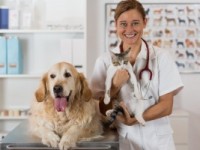 Для вашего удобства - услуги ветеринара на дому