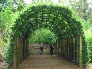 pergola-v-parke