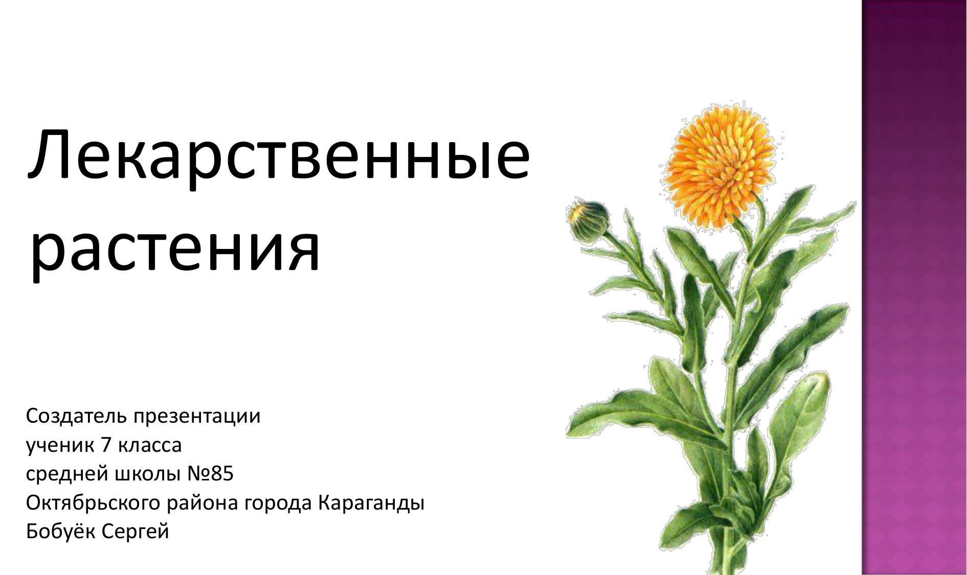 Реферат Цветы