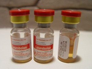 laurobolin-vvoditsya-vnutrimyshechno