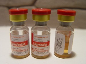 laurobolin-vvoditsya-vnutrimyshechno
